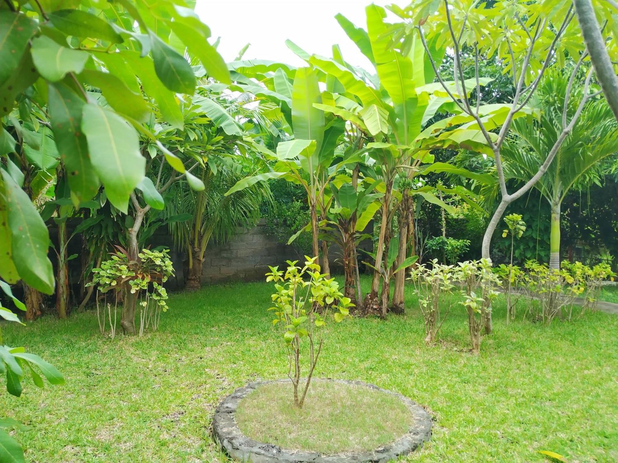 Asih Homestay ペムテラン エクステリア 写真