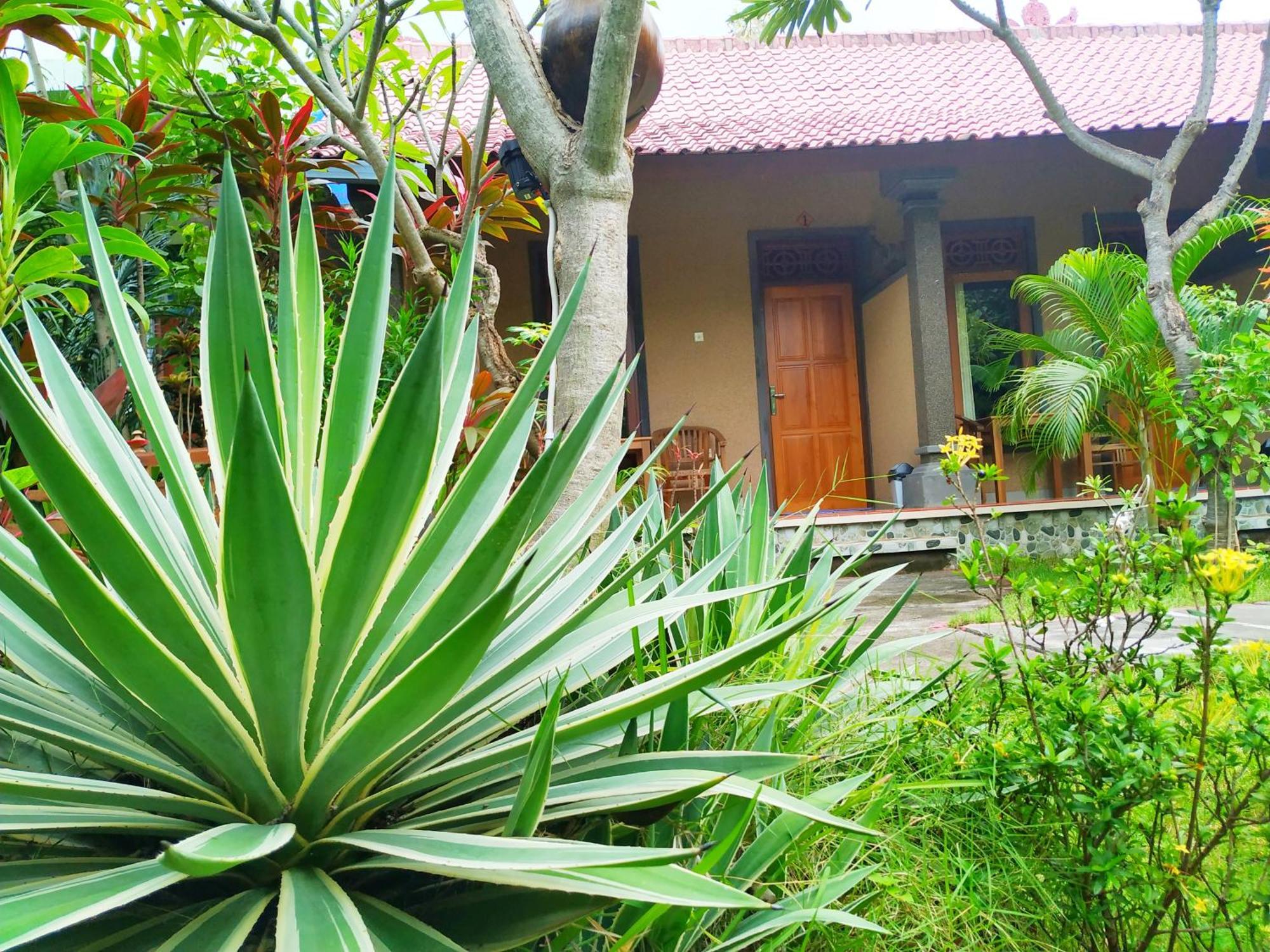 Asih Homestay ペムテラン エクステリア 写真
